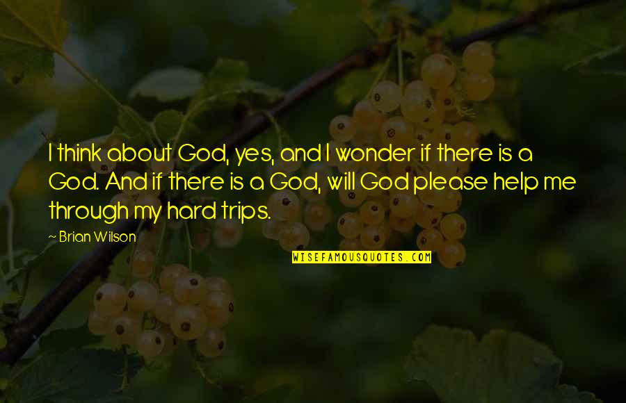 Hard To Please Quotes By Brian Wilson: I think about God, yes, and I wonder