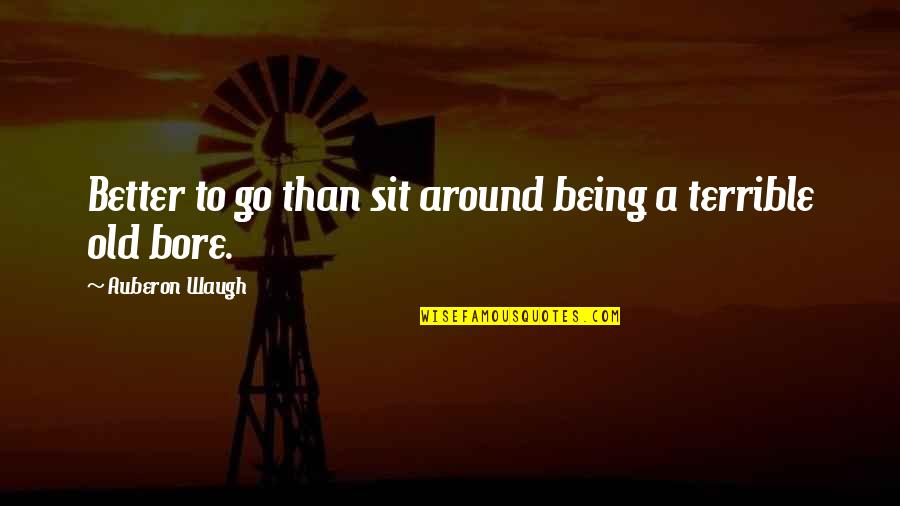 Hard To Trust Someone Quotes By Auberon Waugh: Better to go than sit around being a Hard To Trust Someone Quotes By Auberon Waugh: Better to go than sit around being a