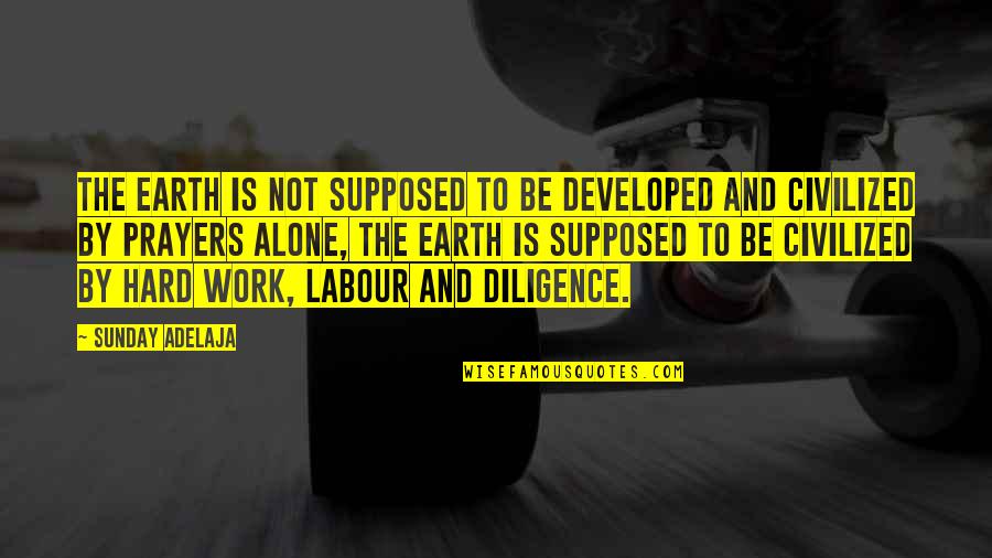 Hard Work And Diligence Quotes By Sunday Adelaja: The earth is not supposed to be developed