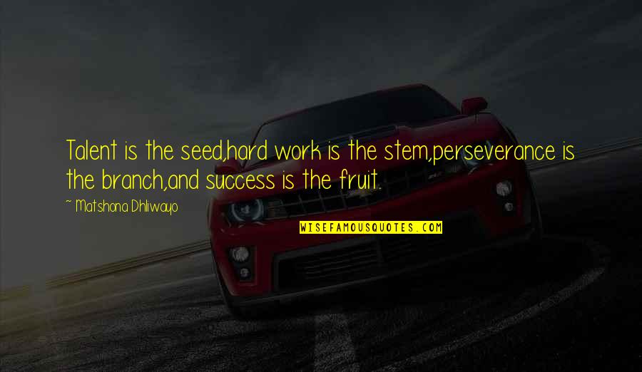 Hard Work And Perseverance Quotes By Matshona Dhliwayo: Talent is the seed,hard work is the stem,perseverance