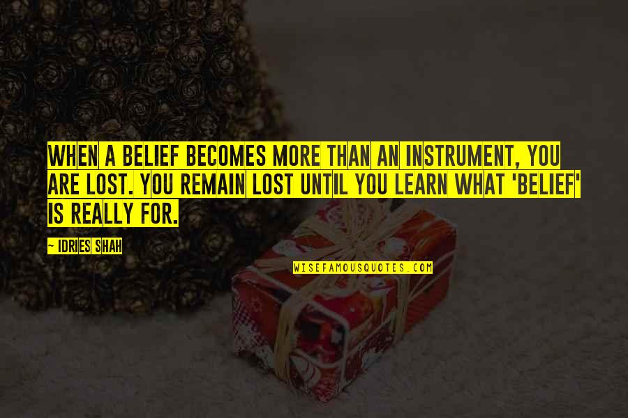 Hard Work And Sleep Quotes By Idries Shah: When a belief becomes more than an instrument,
