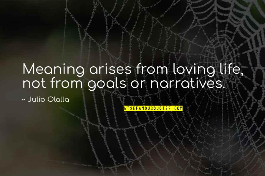Hard Work And Teamwork Quotes By Julio Olalla: Meaning arises from loving life, not from goals
