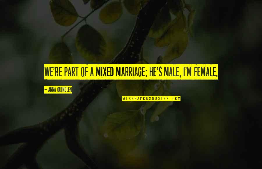 Hard Work By Abraham Lincoln Quotes By Anna Quindlen: We're part of a mixed marriage: he's male,