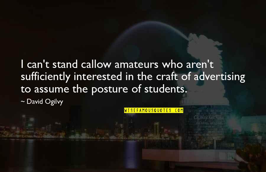 Hard Work By Abraham Lincoln Quotes By David Ogilvy: I can't stand callow amateurs who aren't sufficiently