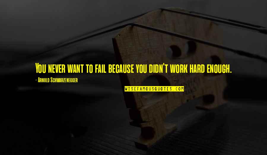 Hard Work Never Fail Quotes By Arnold Schwarzenegger: You never want to fail because you didn't