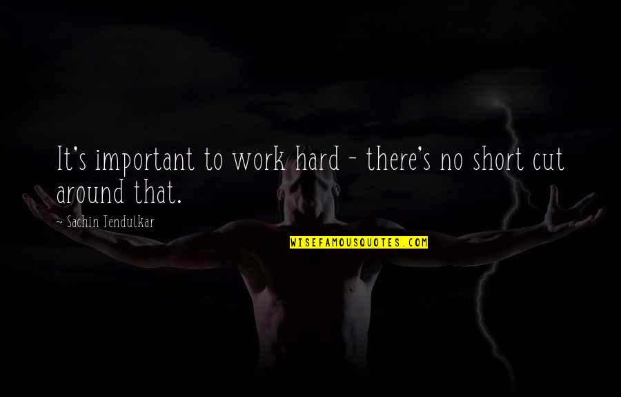 Hard Work To Success Quotes By Sachin Tendulkar: It's important to work hard - there's no