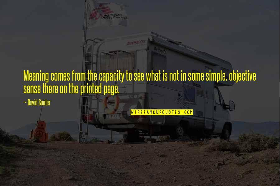 Hard Workers Quotes By David Souter: Meaning comes from the capacity to see what Hard Workers Quotes By David Souter: Meaning comes from the capacity to see what