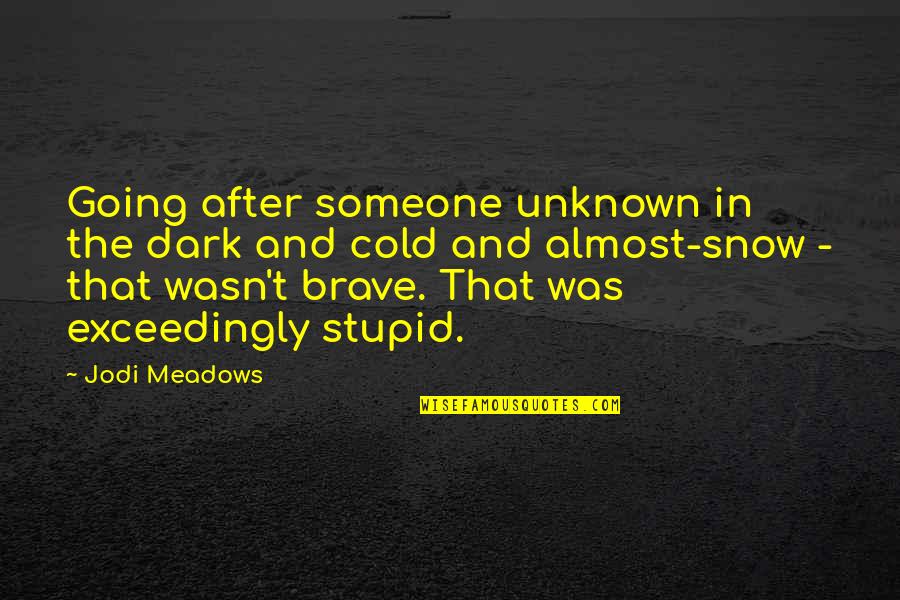 Hard Working Mother Quotes By Jodi Meadows: Going after someone unknown in the dark and Hard Working Mother Quotes By Jodi Meadows: Going after someone unknown in the dark and