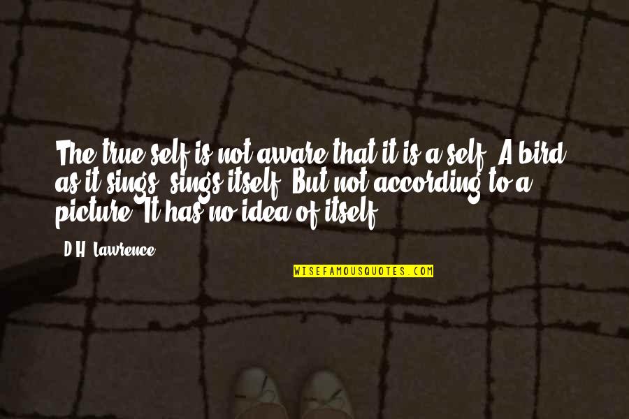 Harde Nederlandse Quotes By D.H. Lawrence: The true self is not aware that it Harde Nederlandse Quotes By D.H. Lawrence: The true self is not aware that it