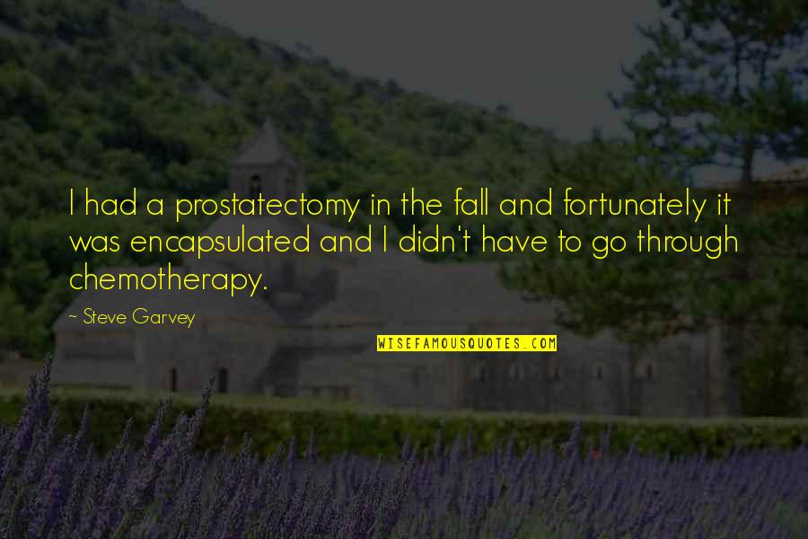 Hardenburgh Ins Quotes By Steve Garvey: I had a prostatectomy in the fall and Hardenburgh Ins Quotes By Steve Garvey: I had a prostatectomy in the fall and