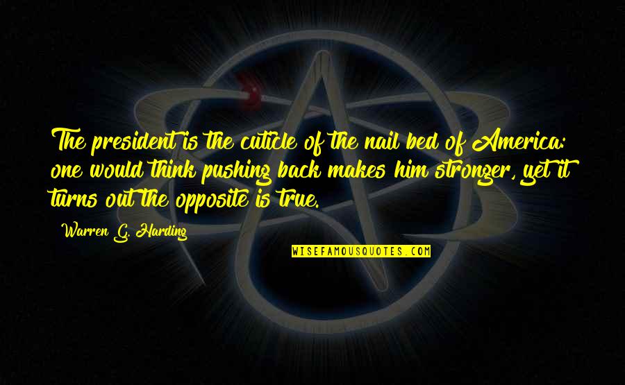 Harding Quotes By Warren G. Harding: The president is the cuticle of the nail