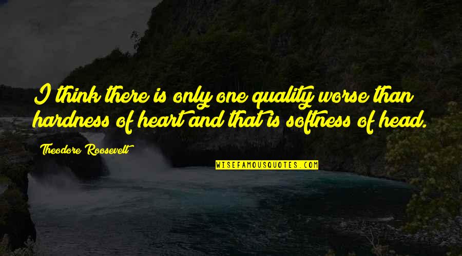 Hardness Of Heart Quotes By Theodore Roosevelt: I think there is only one quality worse Hardness Of Heart Quotes By Theodore Roosevelt: I think there is only one quality worse