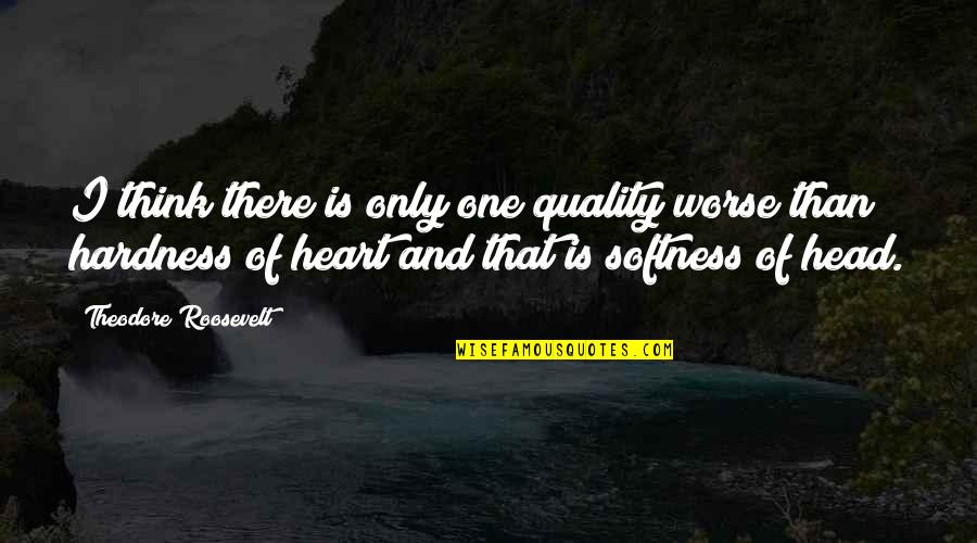 Hardness Quotes By Theodore Roosevelt: I think there is only one quality worse