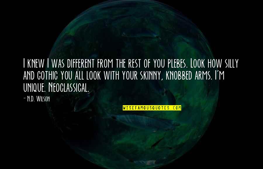 Hardouin Chandelier Quotes By N.D. Wilson: I knew I was different from the rest Hardouin Chandelier Quotes By N.D. Wilson: I knew I was different from the rest