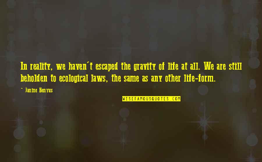 Hardship Paid Off Quotes By Janine Benyus: In reality, we haven't escaped the gravity of