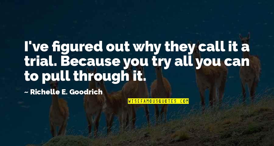 Hardship Quotes By Richelle E. Goodrich: I've figured out why they call it a