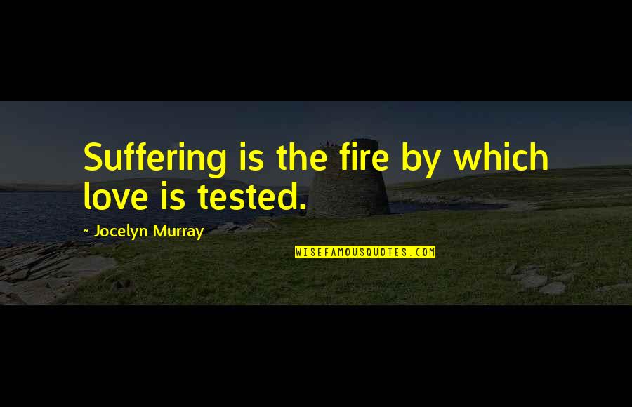 Hardship Quotes Quotes By Jocelyn Murray: Suffering is the fire by which love is