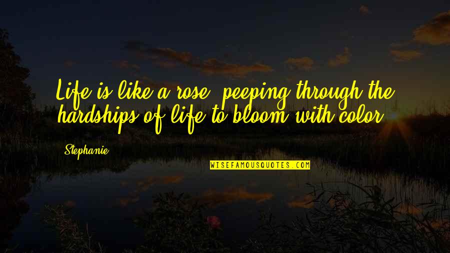 Hardships Of Life Quotes By Stephanie: Life is like a rose, peeping through the