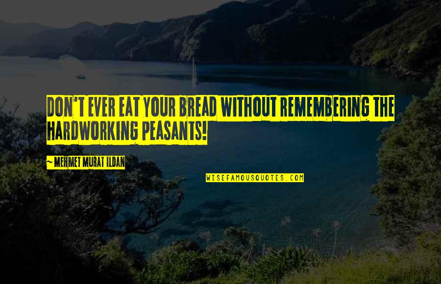 Hardworking Quotes By Mehmet Murat Ildan: Don't ever eat your bread without remembering the