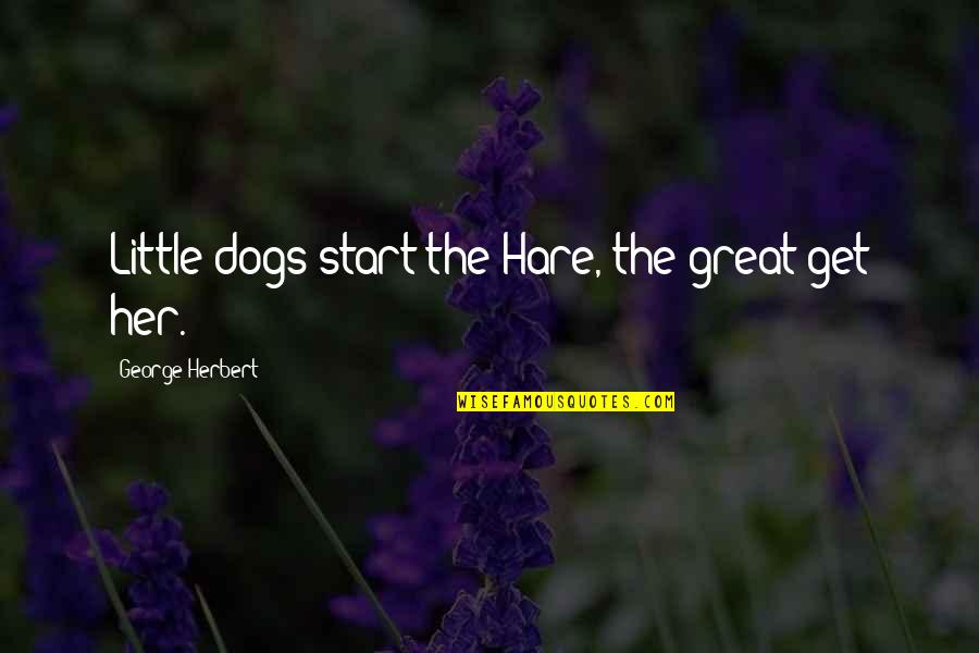 Hare Quotes By George Herbert: Little dogs start the Hare, the great get Hare Quotes By George Herbert: Little dogs start the Hare, the great get