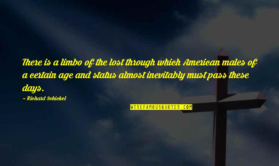 Harem Suare Quotes By Richard Schickel: There is a limbo of the lost through Harem Suare Quotes By Richard Schickel: There is a limbo of the lost through