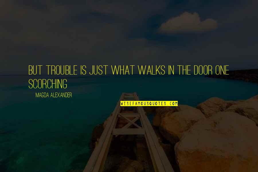 Haresh Lalvani Quotes By Magda Alexander: But trouble is just what walks in the