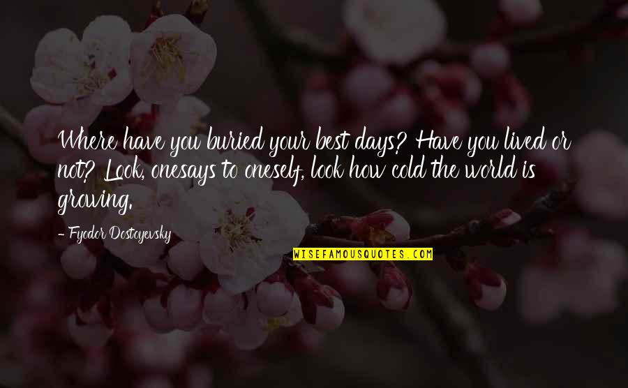 Hargates Island Quotes By Fyodor Dostoyevsky: Where have you buried your best days? Have