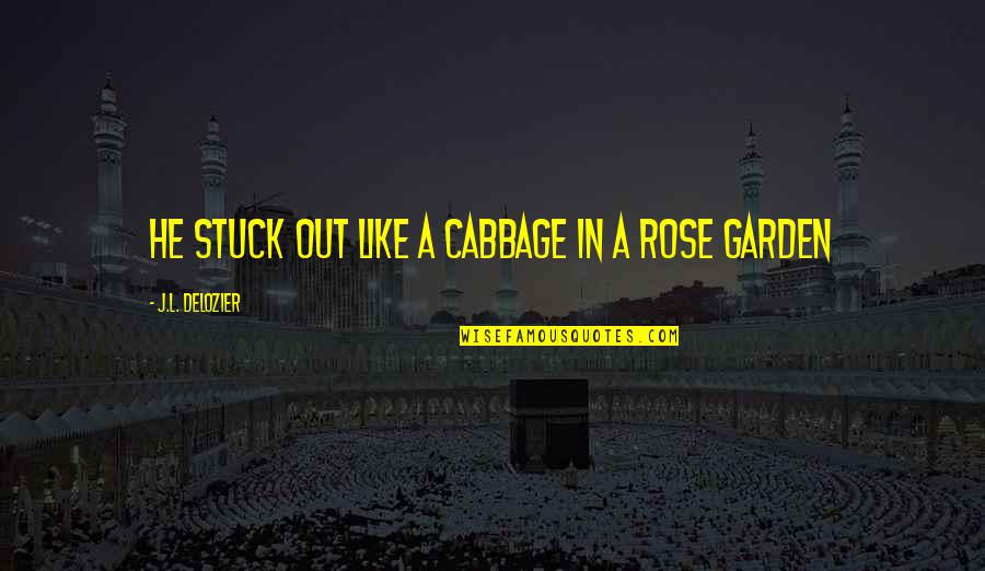 Hargroves Mums Quotes By J.L. Delozier: He stuck out like a cabbage in a Hargroves Mums Quotes By J.L. Delozier: He stuck out like a cabbage in a