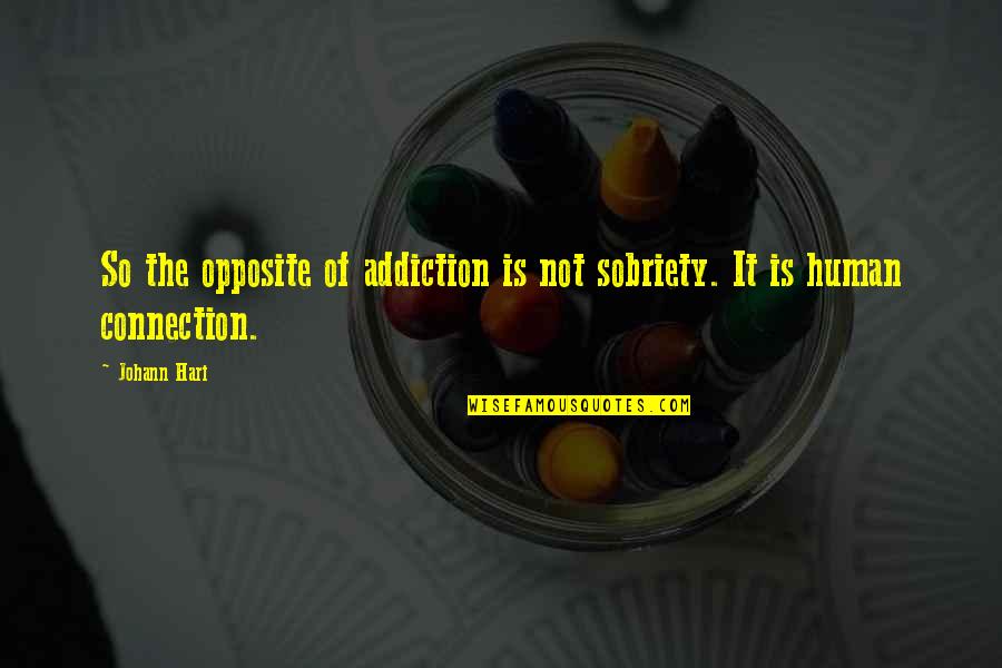 Hari Quotes By Johann Hari: So the opposite of addiction is not sobriety.