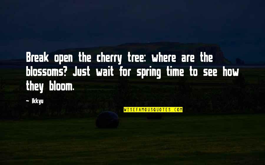 Haritos James Quotes By Ikkyu: Break open the cherry tree: where are the