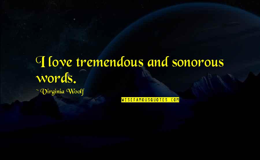 Harkin Banks Quotes By Virginia Woolf: I love tremendous and sonorous words.