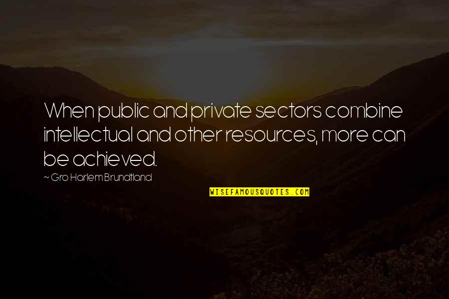 Harlem Quotes By Gro Harlem Brundtland: When public and private sectors combine intellectual and