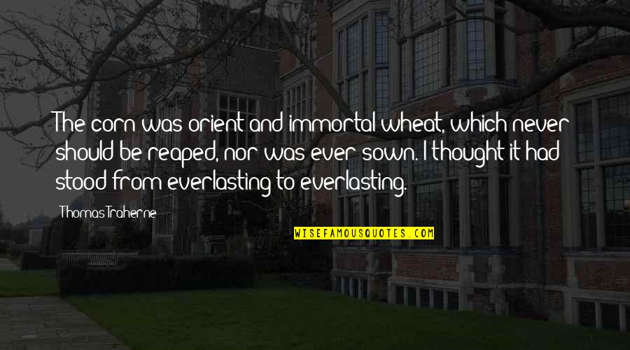 Harline Byu Quotes By Thomas Traherne: The corn was orient and immortal wheat, which Harline Byu Quotes By Thomas Traherne: The corn was orient and immortal wheat, which