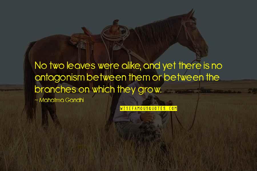 Harline Fail Quotes By Mahatma Gandhi: No two leaves were alike, and yet there