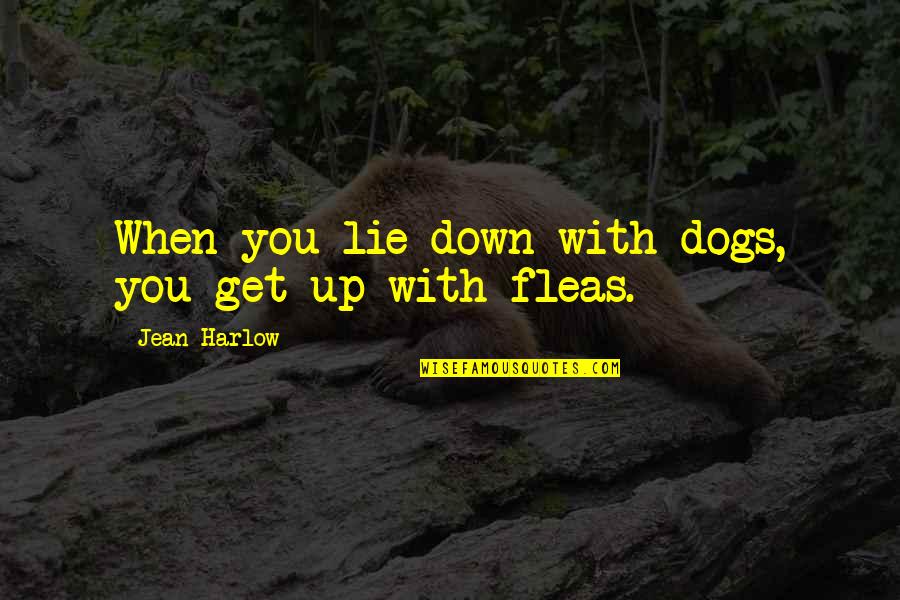 Harlow Quotes By Jean Harlow: When you lie down with dogs, you get