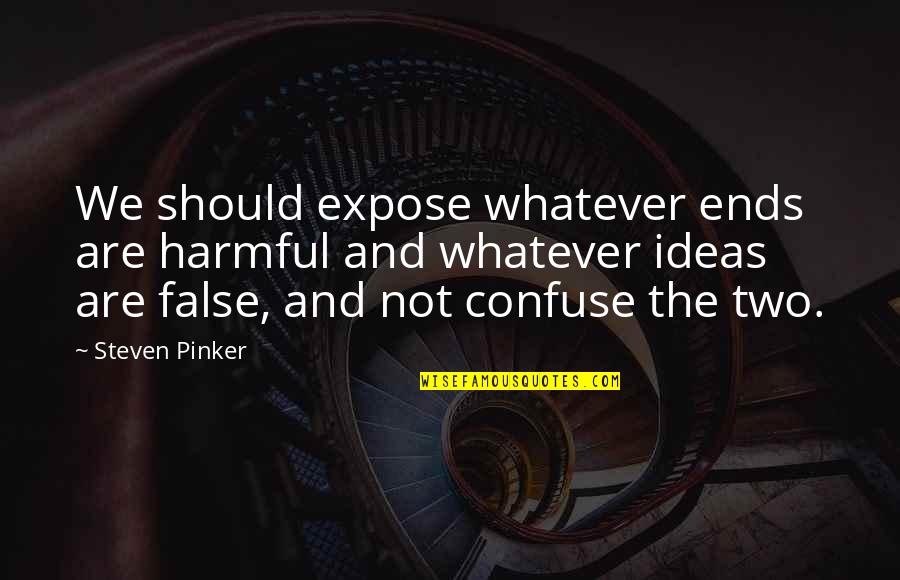 Harmful Nature Quotes By Steven Pinker: We should expose whatever ends are harmful and