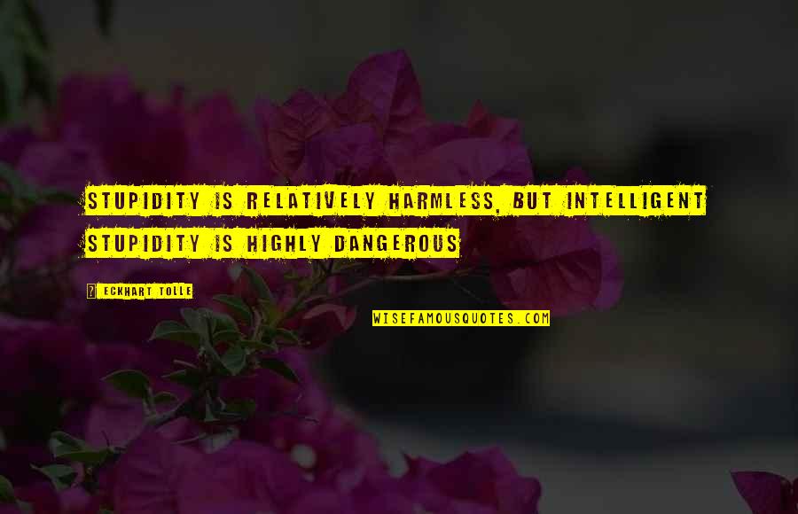 Harmless As Quotes By Eckhart Tolle: Stupidity is relatively harmless, but intelligent stupidity is