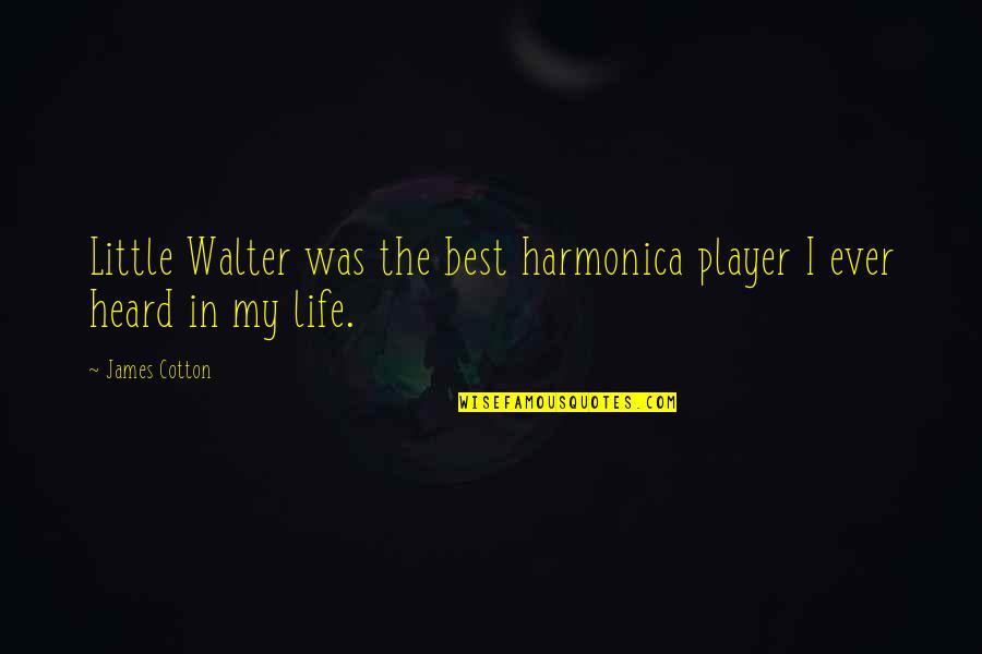 Harmonica Quotes By James Cotton: Little Walter was the best harmonica player I