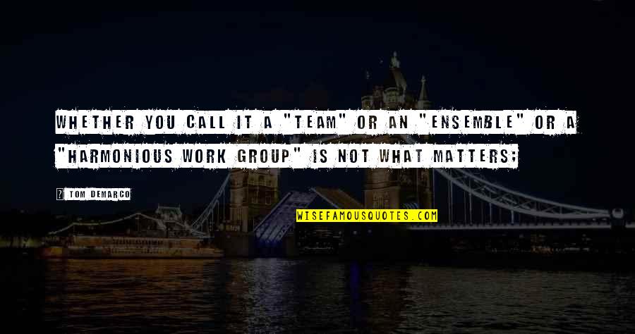 Harmonious Quotes By Tom DeMarco: Whether you call it a "team" or an
