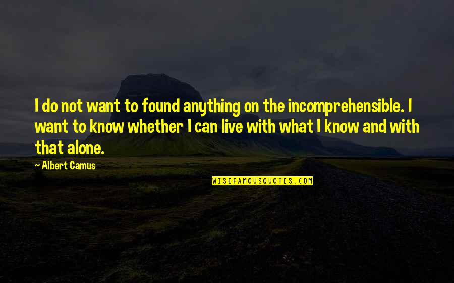 Harmoniser Quotes By Albert Camus: I do not want to found anything on Harmoniser Quotes By Albert Camus: I do not want to found anything on