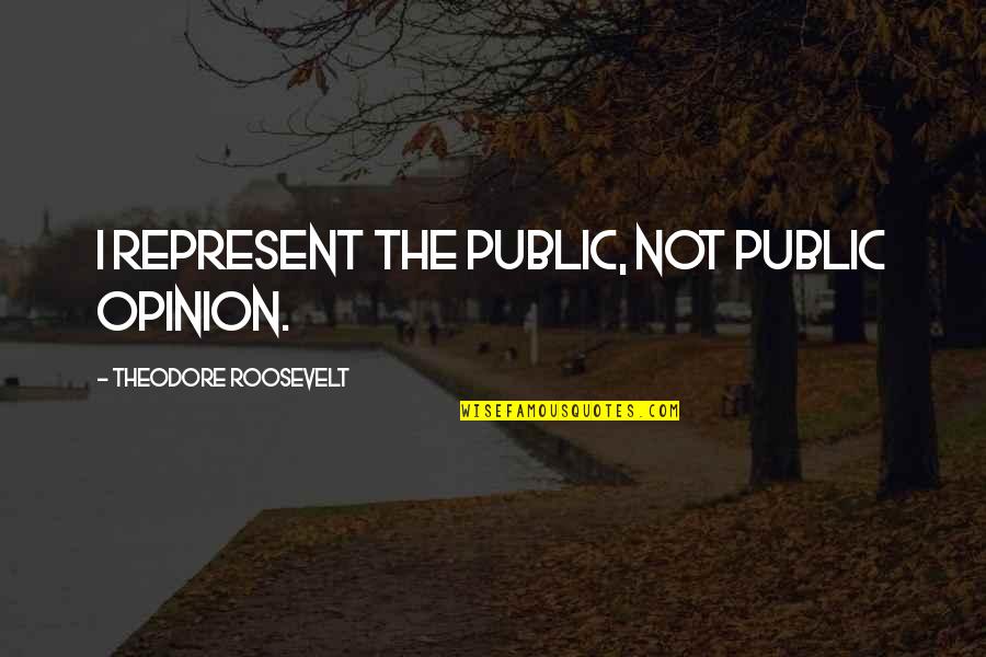 Harmonizes Quotes By Theodore Roosevelt: I represent the public, not public opinion.