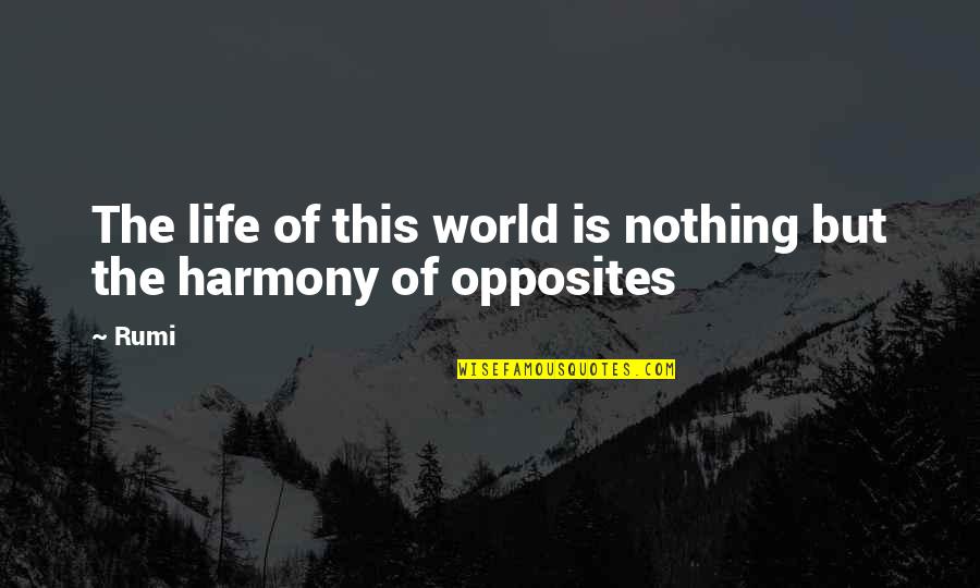 Harmony In This World Quotes By Rumi: The life of this world is nothing but