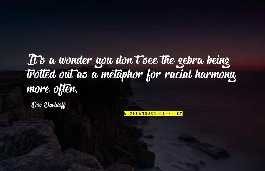 Harmony's Quotes By Dov Davidoff: It's a wonder you don't see the zebra