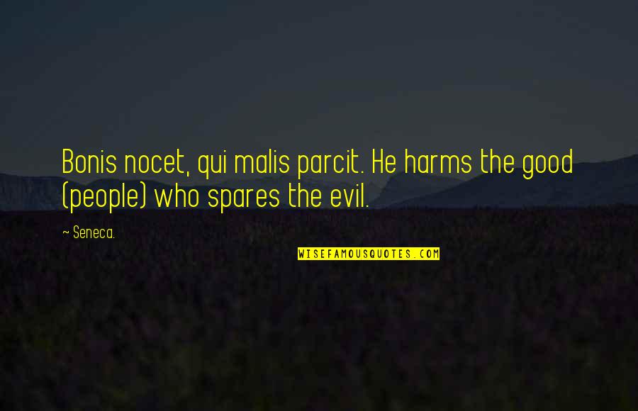 Harms Quotes By Seneca.: Bonis nocet, qui malis parcit. He harms the