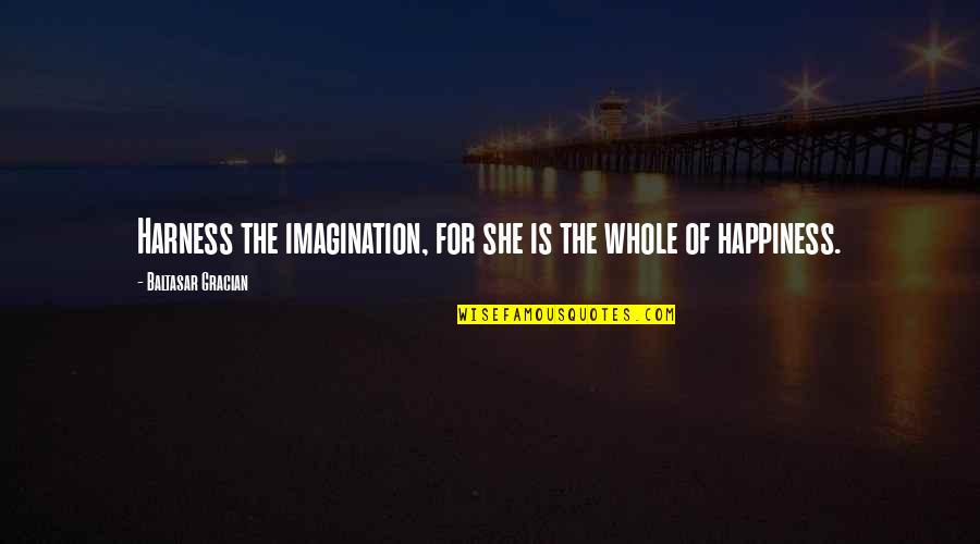 Harness Quotes By Baltasar Gracian: Harness the imagination, for she is the whole