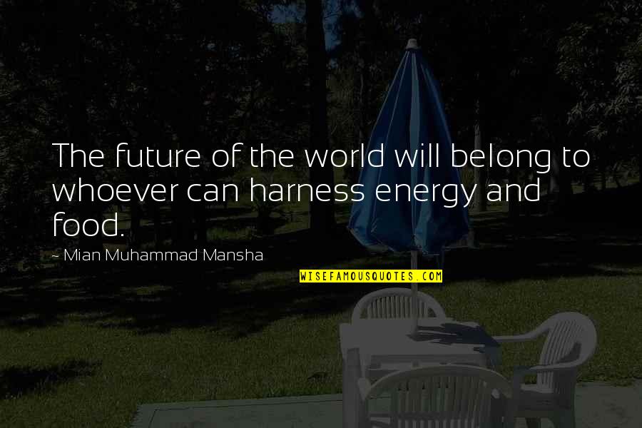 Harness Quotes By Mian Muhammad Mansha: The future of the world will belong to