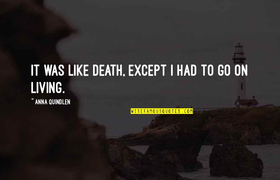 Harnetiaux Nilausen Quotes By Anna Quindlen: It was like death, except I had to