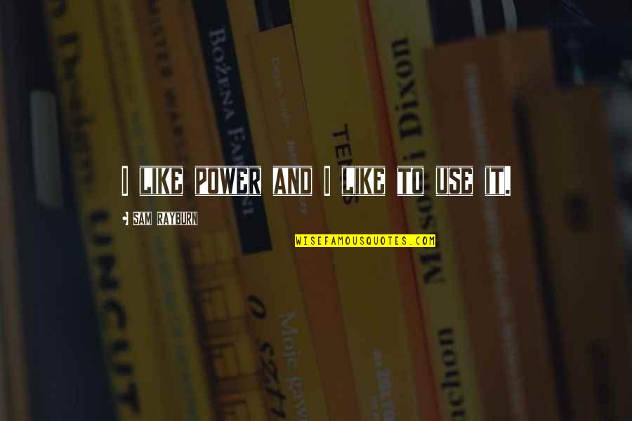 Harold And Kumar Quotes By Sam Rayburn: I like power and I like to use