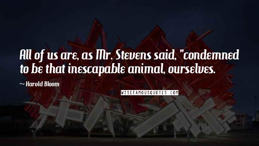 Harold Bloom quotes: All of us are, as Mr. Stevens said, "condemned to be that inescapable animal, ourselves.