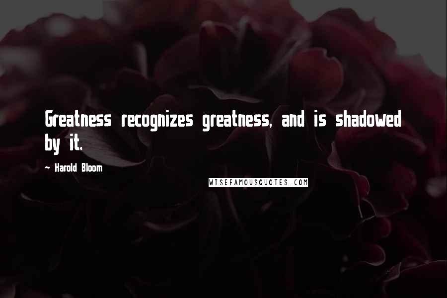 Harold Bloom quotes: Greatness recognizes greatness, and is shadowed by it.